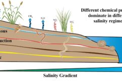 Major redox zones and salinity gradient considered in this study.