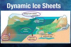 Dynamic Ice Sheets & Regional Sea-Level Change Projections in E3SM