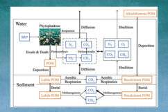 Improving the Representation of Methane Dynamics in Global Lake Models