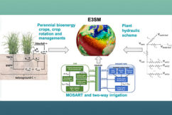 Fully-Coupled E3SM Capability with Full Land/Ocean BGC