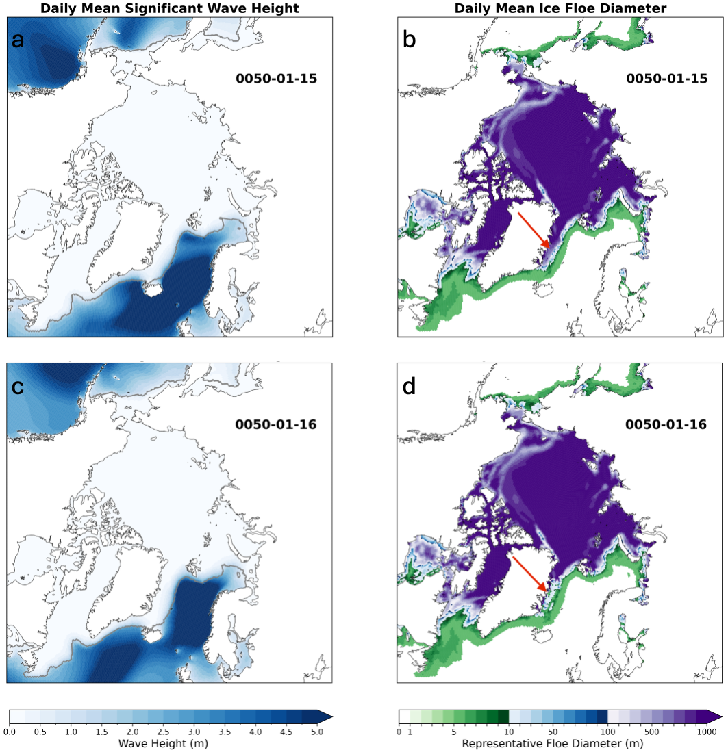 Figure 2: E3SM BluePulse LRW control simulations 50 years after initialization, indicating the impact of a high waves event in the North Atlantic on sea ice floe sizes off the East coast of Greenland. (a) and (c) show significant wave height with the gray sea ice extent contour (15% concentration), while (b) and (d) illustrate the mean floe size diameter, extracted from a floe size distribution simulated within the E3SM’s sea ice model.