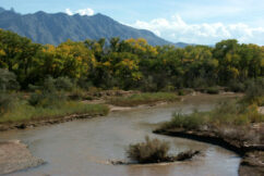 Machine Learning Helps Improve Groundwater Representation in Earth System Models