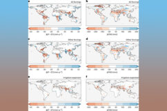 Expanding Irrigation Increases Regional Land Water Depletion